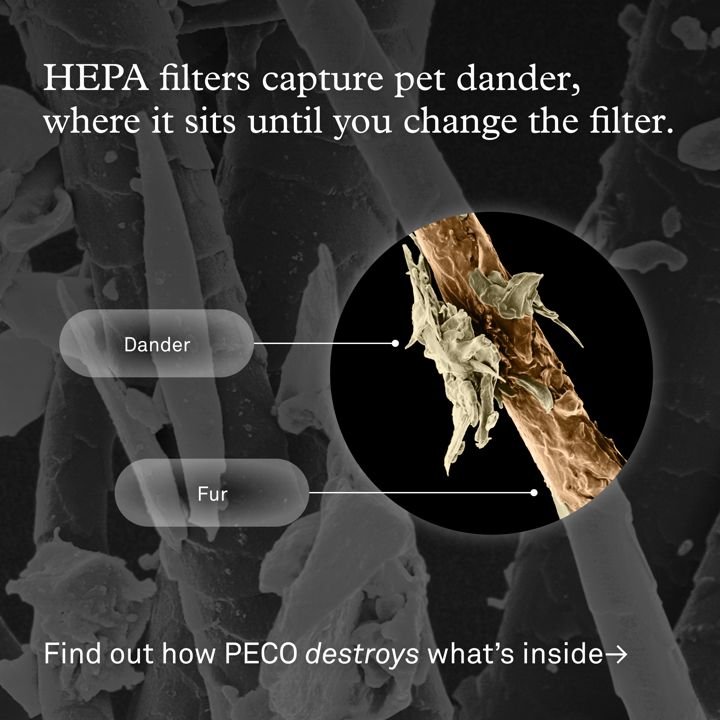 Molekule static Meta ad: HEPA vs PECO contrast