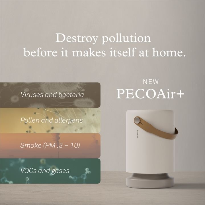 Molekule static Meta ad: Indoor pollution reframe